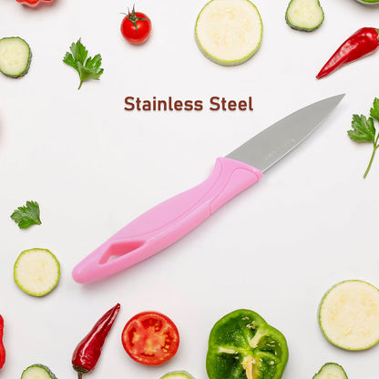 Small stainless steel fruit knife with non-slip handle, protective cover